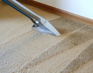 blue-springs-carpet-cleaner