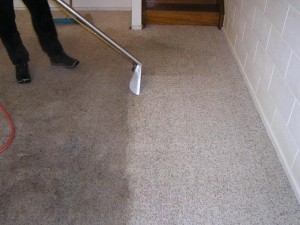 greenwood-carpet-cleaner