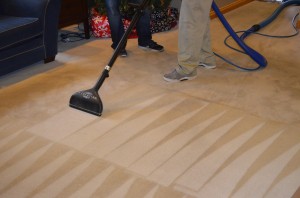 lake-lotawana-carpet-cleaner